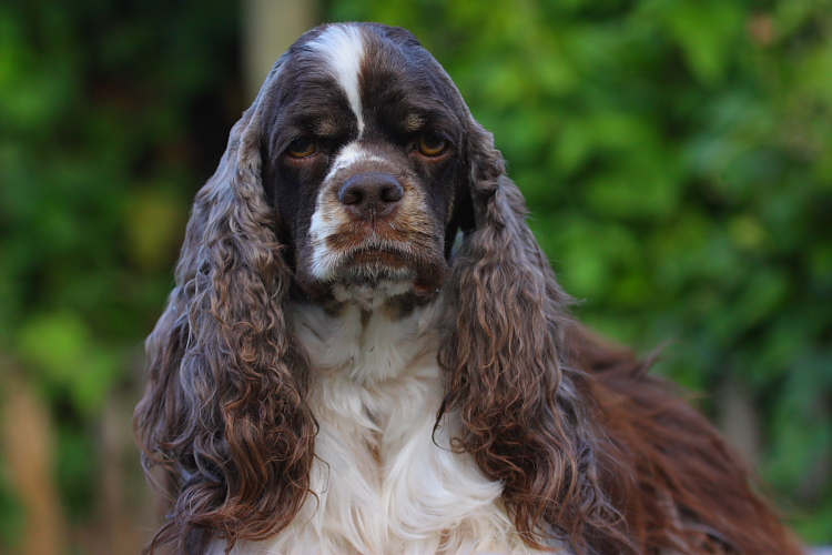 canon rebel xsi sample photos. canon rebel xs sample photos.