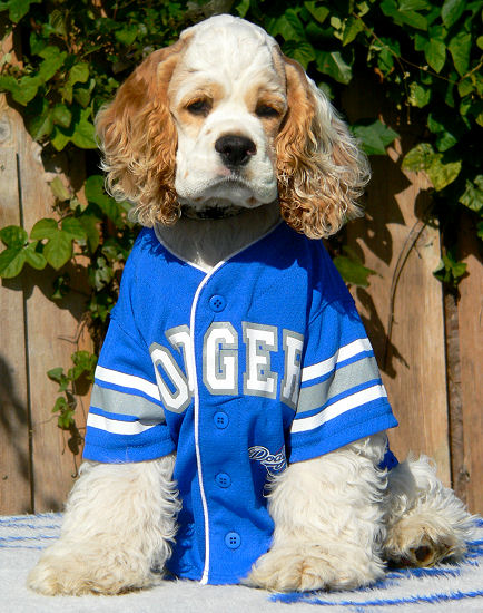 los angeles dodgers uniform. in a LA Dodgers uniform