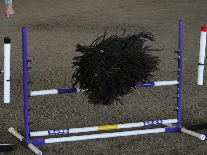 The Flying Mop