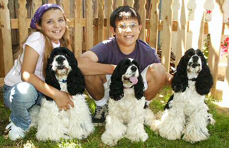 Abby with two of her puppies all grown up