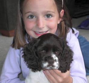 Cocker puppy with her new best friend