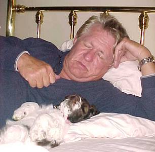 Cocker puppy sleeping on owners bed