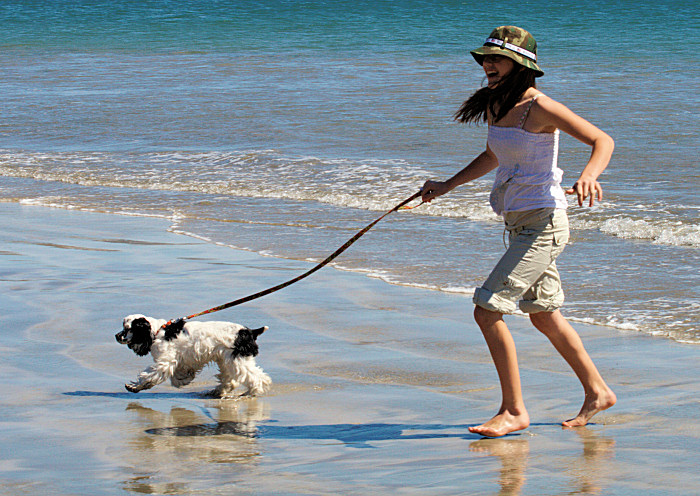 Sophie gets in the water at Port San Luis during our puppy reunion