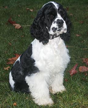 A January 2003 picture of Morgan