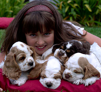 One of the neighbor kids with our puppies