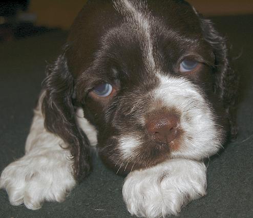 Penny Lane shows her blue eyes